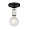 Nuvo Fixture, Semi Flush, 1-Lght, Incandescent, 100W, 120V, A19, Medium Bse 60/7353 - alternate 3